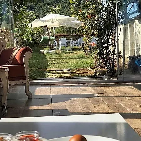 Gunisigi 3* Ağva